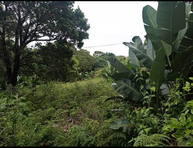 LAND FOR SALE IN PALM BEACH